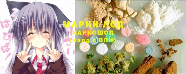 эйфоретик Вяземский