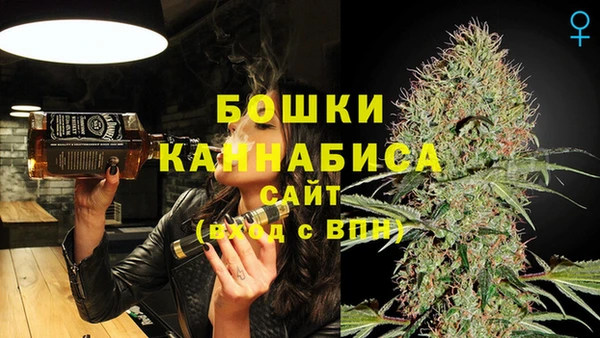ПСИЛОЦИБИНОВЫЕ ГРИБЫ Щучье