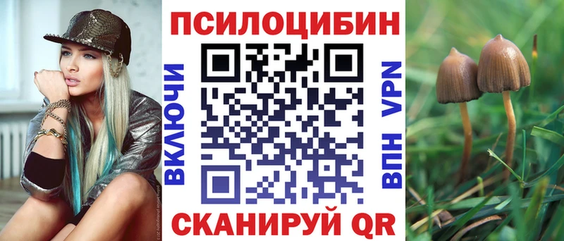 купить наркоту  Шахты  Галлюциногенные грибы MAGIC MUSHROOMS 